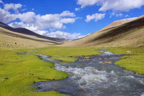 TREKKING IN LADAKH | CHANGTANG 2017